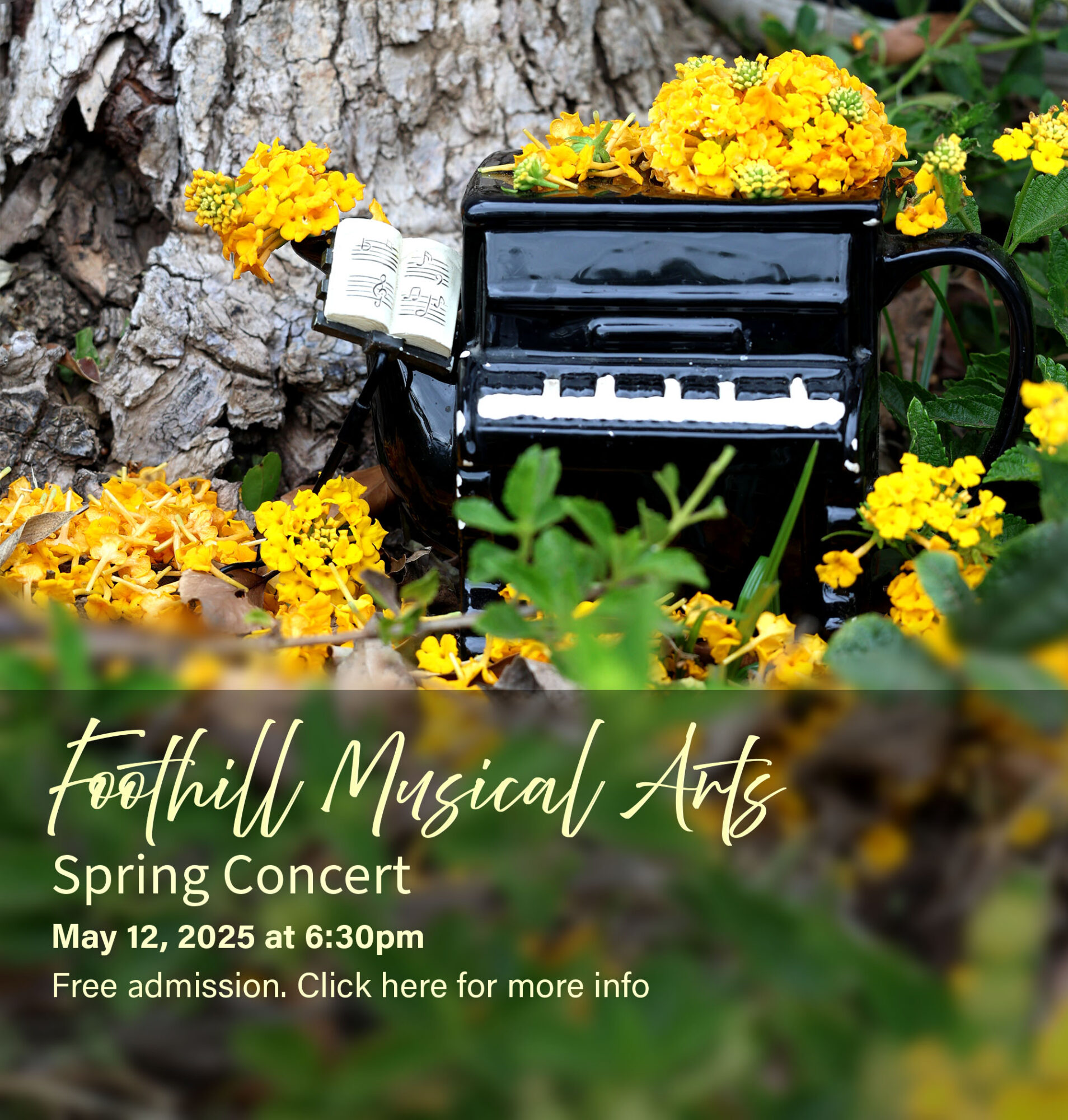 FHMA Spring Recital